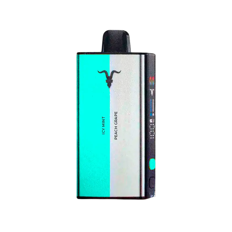 Pod Ignite V400 Mix - 40.000 Puffs - Icy Mint & Peach Grape