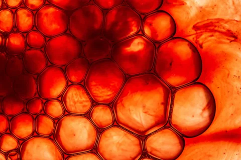 Fentolamina ingrediente ativo